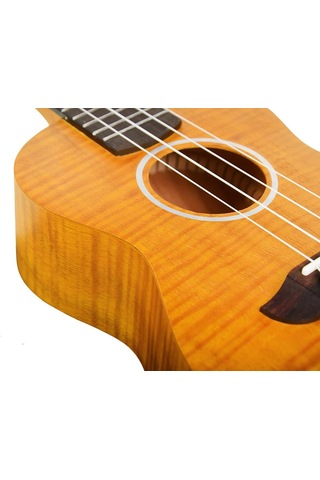 Kaysen U3-24gd Concert Ukulele