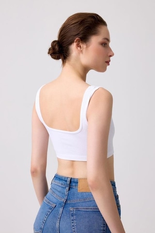 Cottonhill Premium - Kadın Beyaz Seamless Kare Yaka Crop Top Büstiyer Beyaz