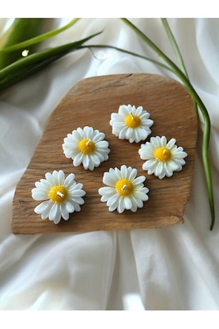 Bernami Biblo Pinterest 10 Adet Papatya , Nikah Şekeri, Doğum, Sünnet, Düğün Nişan Söz, Kına, Doğum Günü