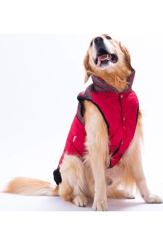 Pawstar Kırmızı Elgin Paws Su İtici Orta-büyük Irk Köpek Puf Yelek Yağmurluk