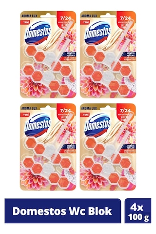 Domestos Tuvalet Bloğu Yıldız Çiçeği & Ejder Meyvesi 4 x 100 G