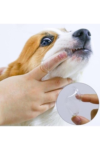 Kedi Köpek Parmak Diş Fırçası Kutulu Evcil Hayvan Diş Fırçası