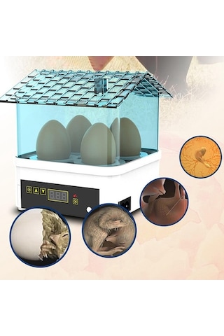 Pazly Yumurta Tavuk Suntek Makinesi Makinesi Kuluçka Kuluçka Dijital Ys