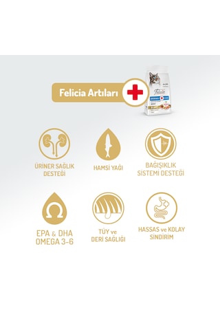 Felicia Derma Care Somonlu Düşük Tahıllı Yetişkin Kedi Maması 12 KG