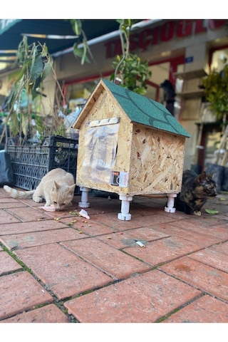 Reyo Narım Kedi Evi, Yerden Yüksek Kedi Yuvası, Su Ve Isı Yalıtımı İç Ve Dış Mekan Kedi Barınağı 33x38x40cm - Monteli Teslimat