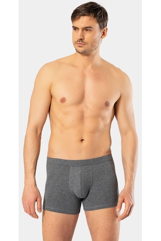 Cacharel Erkek Likralı Boxer 1335/Antrasit 001