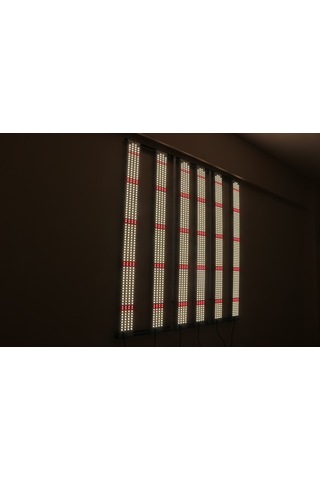 680w Lm281b Bitki Yetiştirme Lambası Full Spektrum
