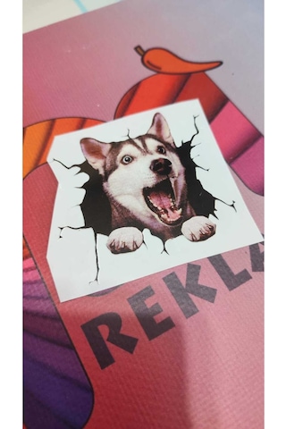 3d Desenli Husky Köpek Figürlü Sticker Etiketi