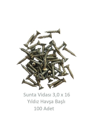 Sunta Vidası, 3,0 X 16 Mm, 100 Adet, Yhb Vida 3 x 16