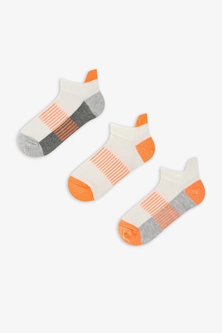 Penti Renkli Erkek Çocuk Neon Orange Gray 3'lü Tab Patik Çorap
