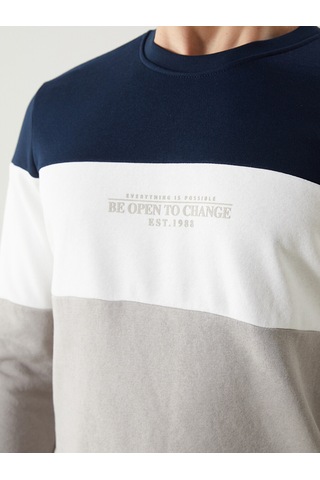 Lcwaıkıkı Classic Bej Bisiklet Yaka Uzun Kollu Renk Bloklu Erkek Sweatshirt