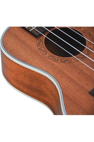 Tayste Tuk200-24 Concert Ukulele