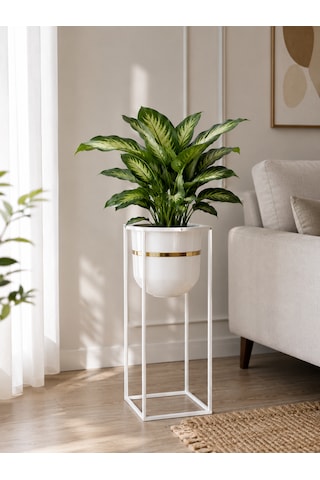 Bitkidunyam Mat Metal Kare Ayaklı Saksı, Altın Detaylı Kenar, Silindirik, Modern Tasarım, 50x21 Cm No:5 Beyaz