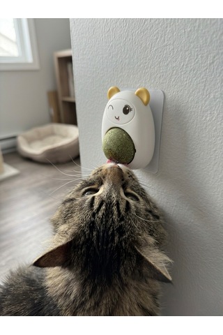 Sarı Sevimli Karakter Tasarımlı Dönen Kedi Nanesi Topu - Duvara Yapışan Doğal Catnip