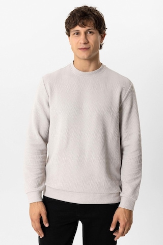Backandbond Açık Gri Regular Fit Pamuklu Desenli Bisiklet Yaka Sweatshirt