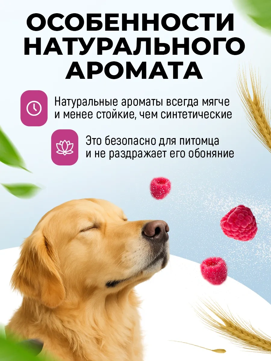 Spets Köpekler Ve Kediler İçin Parfümlü Sprey 100ml 395942165