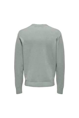 Only & Sons Onsleon Lıfe Reg 12 Pbt Crew Knıt Erkek Yeşil Kazak - 22030507