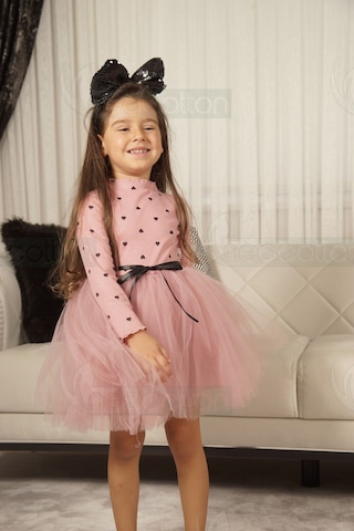 Kız Bebek-çocuk Uzun Kollu Doğum Günü Ve Özel Günler İçin Kalpli Tüllü Astarlı Elbise Gül Kurusu Gülkurusu