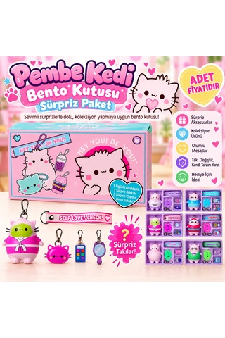 Pembe Kedi Bento Kutusu Sürpriz Paket Adet Fiyatıdır