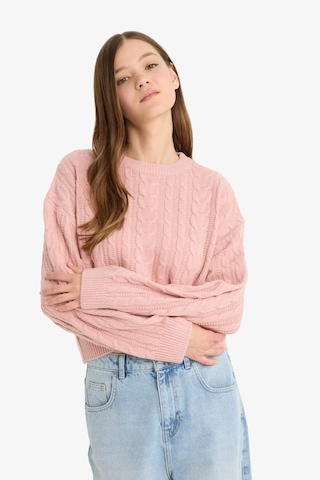 Defacto Coool Regular Fit Bisiklet Yaka Triko Kazak T4518az25wnpn83 Pembe
