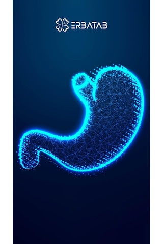 Erbatab Avantaj Paketi 8 (Kudretnarı, Peptix, Bromelain)