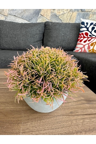 Premium Yapay Saksılı Çim Bitki - Dekoratif Ev Ofis Aksesuarı 13x16 Cm Bej