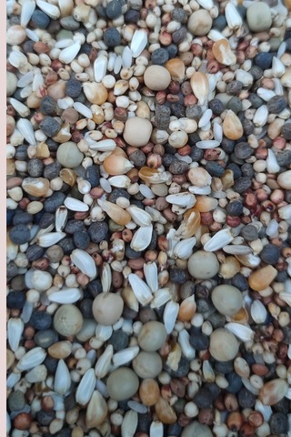 25kg Lüx Güverci̇n Yemi̇ -özel Üreti̇m