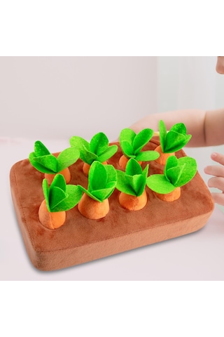 Suntek Oyunu Gelişimsel Eğitsel Çekme Motor 8-adet-havuç