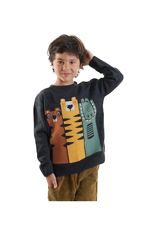 Denokids Hayvanlar Erkek Çocuk Triko Kazak Renkli