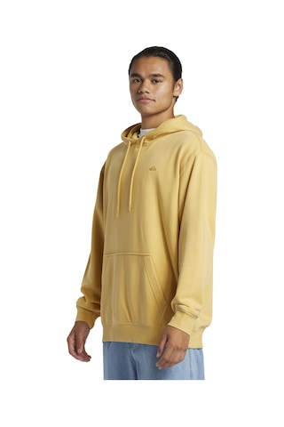 Quiksilver Salt Water Hoodie Erkek Sweatshirt Renkli