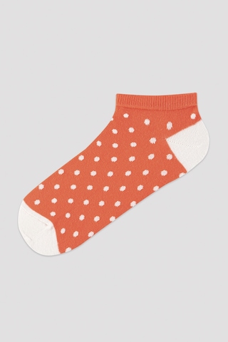Penti Dots Renkli 5li Patik Çorap Çok Renkli
