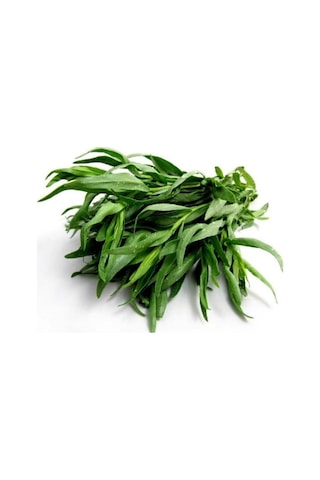 40 Adet Yerli Ata Tarhun Tohumu Artemisia Dracunculus L.