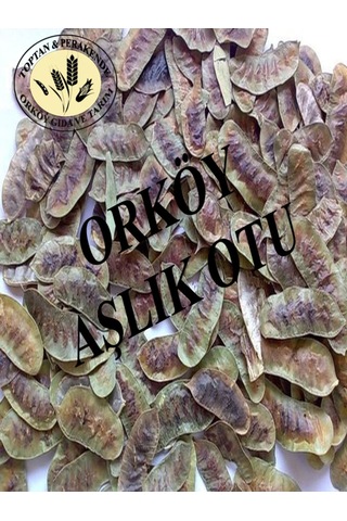 Orköy Doğal Aşlık Otu 1 Kg Açlık Otu