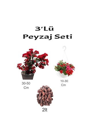 Çok Avantajlı 3'lü Peyzaj Seti Kırmızı Begonvil Kırmızı Petunya Çiçeği Curf