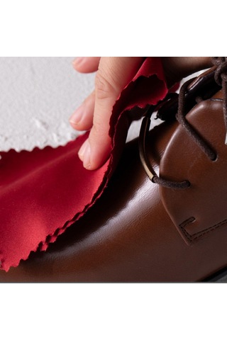 Homyl Unısex Yetişkinler Için Ayakkabı Bakımı Ve Lehçe Kiti Siyah