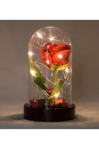 Fanusta Led Işıklı Kırmızı Gül Ve Mini Ayıcık Set Sevgiliye Eşe Sürpriz Sevgiliye Hediye Strglbl75