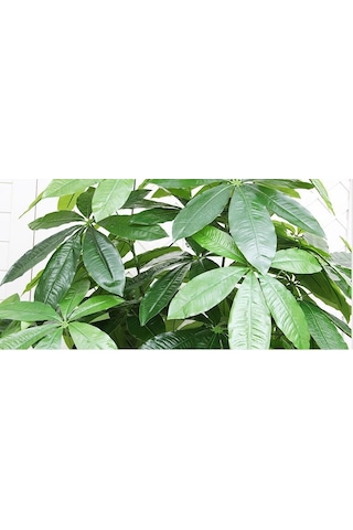Yapay Çiçek Demet Şeflera Bitkisi 18dal 75cm Salon Çiçeği Yapay Bitki Pachira Macrocarpa