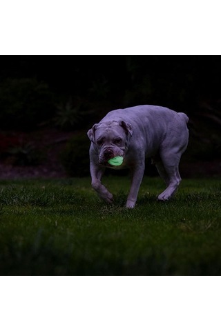Chuckit Max Glow Air Fetch Gece Parlayan Köpek Oyun Topu Orta Boy 6,5 Cm 260-50001.01
