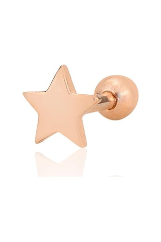 Gümüş Rose Yıldız Modeli Tragus Helix Piercing Küpe Barcode Gümüş - Çok Renkli
