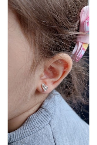 Zanaatsilver Gümüş Zirkon Taşlı Minik Kalp Küpe Zs0033kp Rose Renk 2'li Beden Gümüş