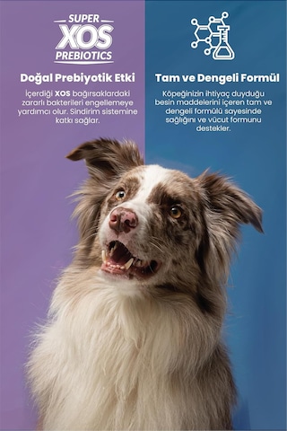 Plus Orta Ve Küçük Irk Yavru Köpekler İçin Tavuk Etli Köpek Maması 3 Kg 2 Paketi