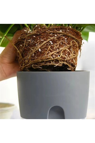 Katlı Topraksız Yetiştirme Saksısı Pamuklu Halatlı Kendiliğinden Sulama