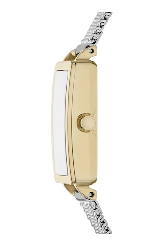 Skagen Skw3147 Kadın Kol Saati