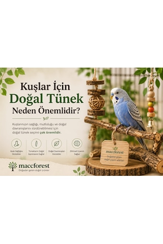 Mutlu Kuşlar Serisi / Doğal Ihlamur Ağacı Kuş Tüneği / 2 Adet - 30/35cm