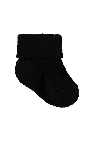 Civil Baby Basic Kıvrık 3'lü 6- Bebek Erkek Çorap Set - Standart 18 Ay Standart