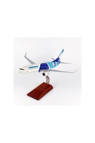 Thy050 1/100 Ölçek, Thy Erzurum Spor Logolu B737-800 Yolcu Uçağı, Sergilemeye Hazır Ahşap Standlı Model-56299