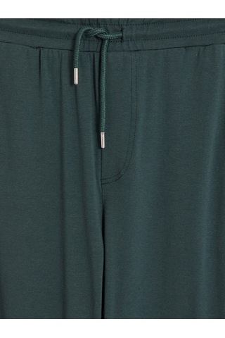 LC Waikiki Lc Waıkıkı Yeşil Standart Kalıp Erkek Pijama Alt