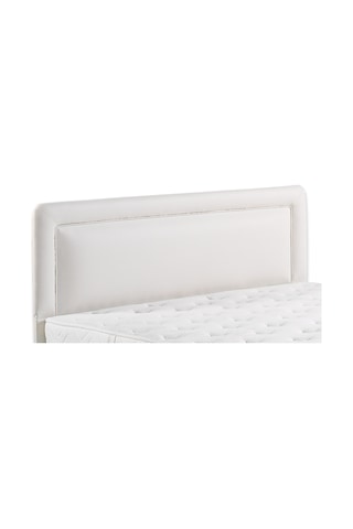 Sunsayatak Sünsa Kamelya Başlık 120 Cm