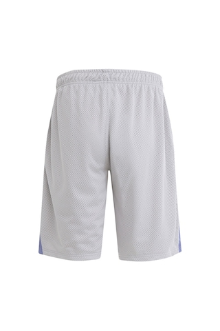Reebok Atr Hoopwear Erkek Gri Şort Gri