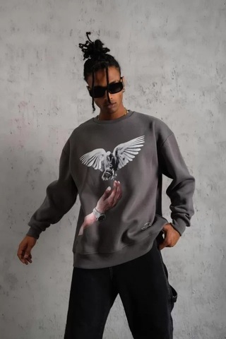 Vexor Erkek Güvercin Baskılı Sweatshirt - Gri